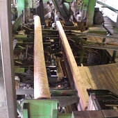 CIMG0261.JPG